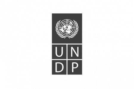 Review and Recommendations for the Future of Work Portfolio of UNDP Activities in Uzbekistan, UNDP